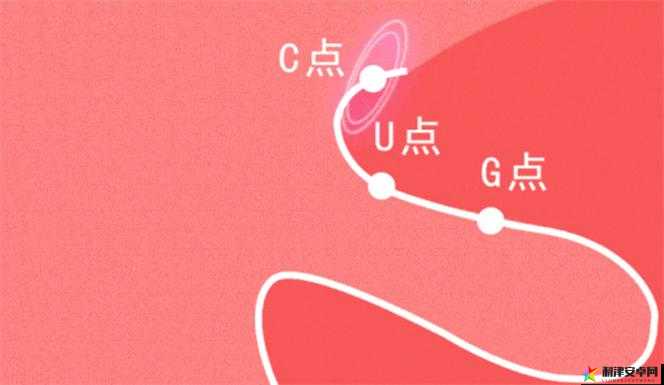 自W到高C的50种图片教程视频详细解析与全面讲解